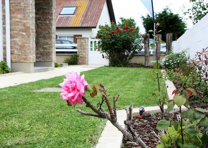 ô De Caps - à 50m De La Hébergement de vacances Sangatte